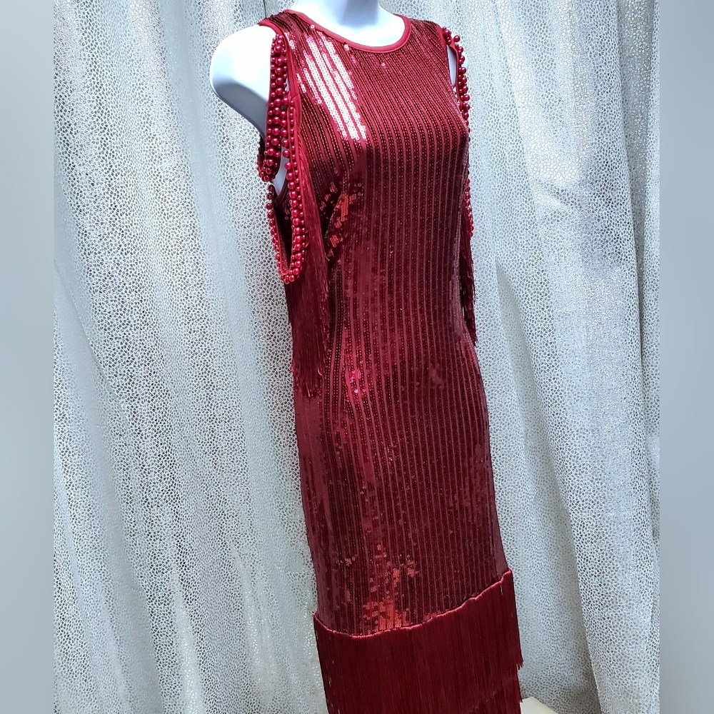 Sequin Fringe Red Party Dress Tassels 1920s Flapper Elegant Red Sequin Dress - Picture 8 of 11